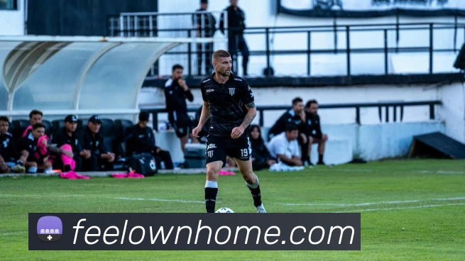 企业概况